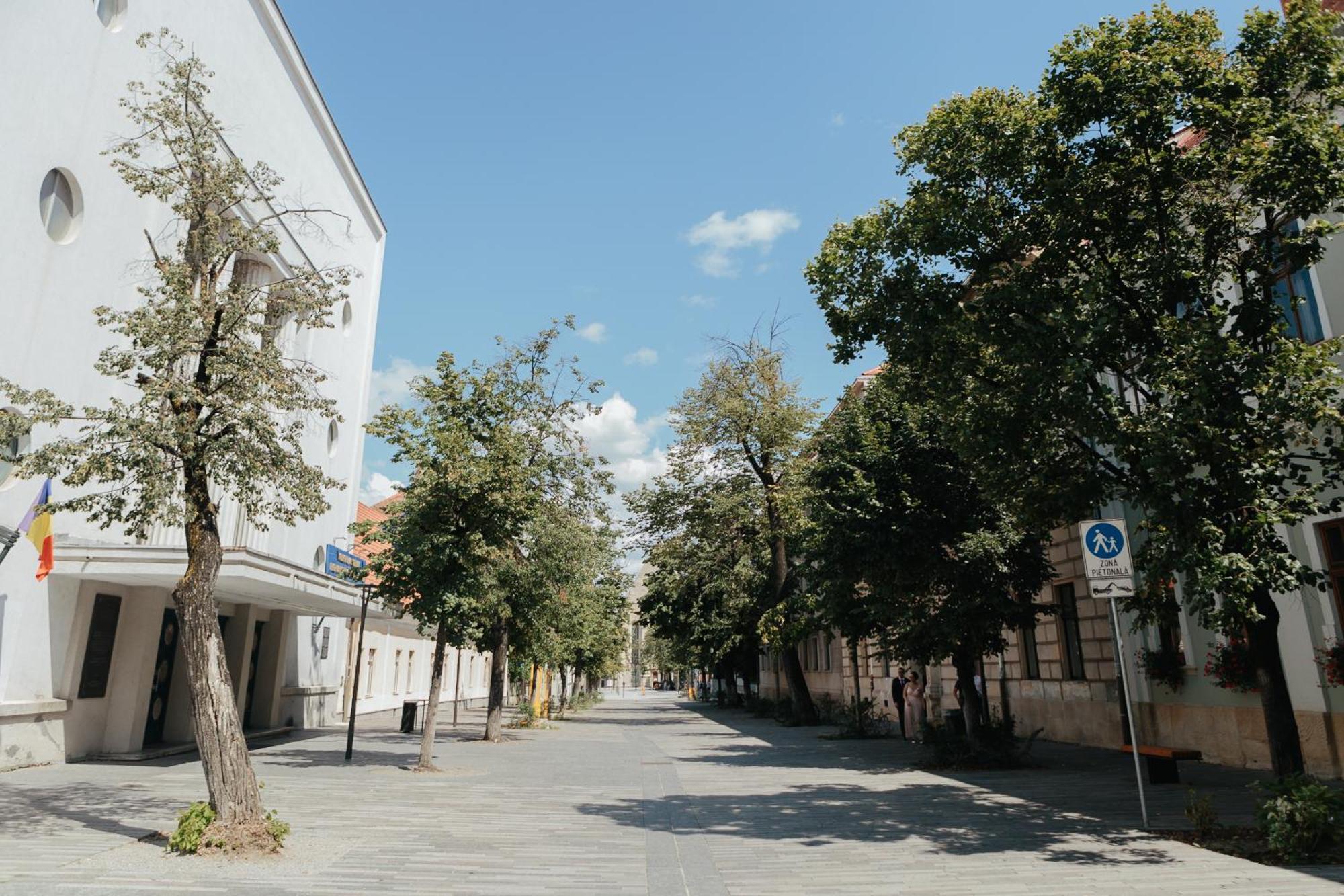 Bethlen Central Studio Cluj-Napoca Exterior photo